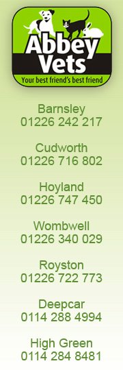 315400_204884279579509_985683717_n