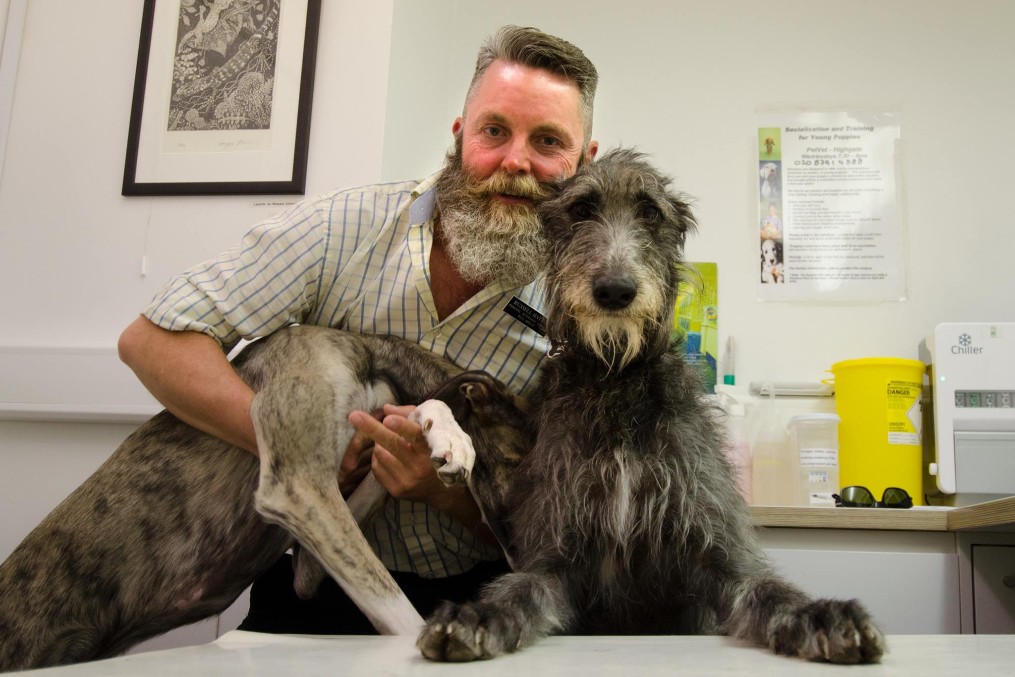 12238367_637740146367216_7959071194178482734_o