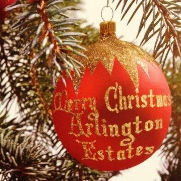 15401135_1554954681197950_2871843191319201922_n