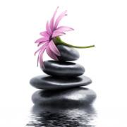 10300955_315066885307160_5878725611869179479_n