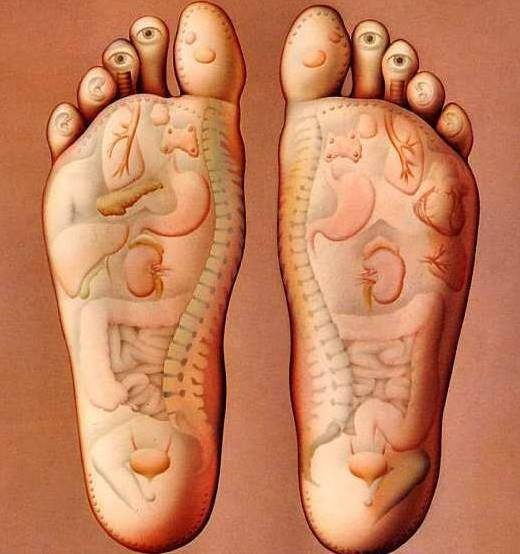 1474386_260360624111120_1374588746_n