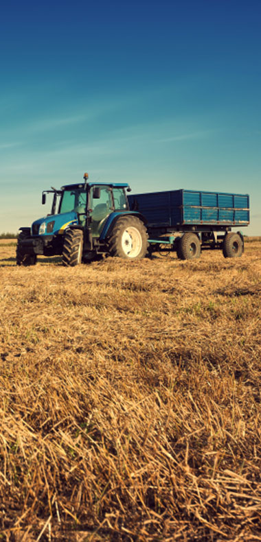 GriffinStone sectors